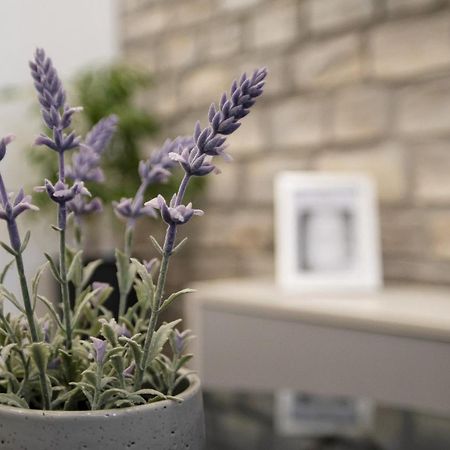 Apartment Stela - Private Terrace & Parking 자다르 외부 사진